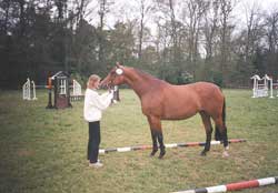 Anthea